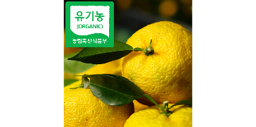 유기농 유자 생과